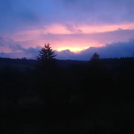 Harefield Hall Pensjonat 2*